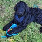 Ersteller:in Ursula Profilbild