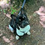 Ersteller:in Lea Profilbild