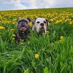 Ersteller:in Jennifer Profilbild