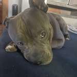 Ersteller:in Paula Profilbild