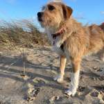 Ersteller:in Louisa Profilbild