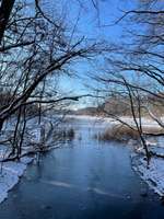 Hundeauslaufgebiet-Grunewaldsee-Bild