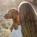 Ersteller:in Lara Profilbild