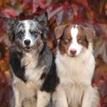 Ersteller:in Sarah Profilbild