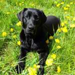 Ersteller:in Nadine Profilbild