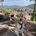 Ersteller:in Sascha Profilbild