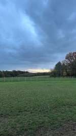 Hundeauslaufgebiet-Hundewiese Heiligenhaus-Bild