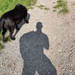 Ersteller:in Silent Profilbild