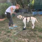 Ersteller:in Miriam Profilbild