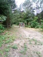 Hundeauslaufgebiet-Hundeauslaufplatz/Park Fürstenwalde /Spree-Bild