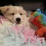 Ersteller:in Marina Profilbild