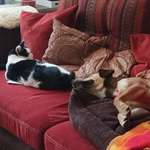 Ersteller:in Judith Profilbild