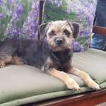 Ersteller:in Heike Profilbild