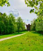 Hundeauslaufgebiet-Weyerberg-Bild