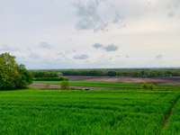 Hundeauslaufgebiet-Weyerberg-Bild