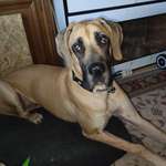 Ersteller:in Nicole Profilbild