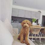 Ersteller:in Gina Profilbild