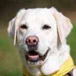 Ersteller:in Evelin Profilbild