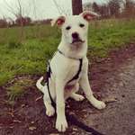 Ersteller:in Vanessa Profilbild