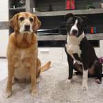 Ersteller:in Jenny Profilbild