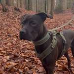 Ersteller:in Angelika Profilbild