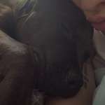 Ersteller:in Angelika Profilbild