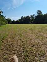 Hundeauslaufgebiet-Landschaftsschutzgebiet Hofstede-Bild