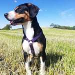 Ersteller:in Susann Profilbild