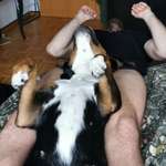 Ersteller:in Roman Profilbild