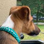 Ersteller:in Monika Profilbild