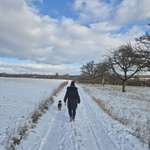 Ersteller:in Sibb Profilbild