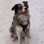 Ersteller:in Lio Profilbild