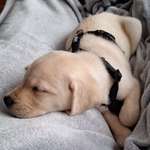 Ersteller:in Tanja Profilbild