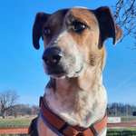 Ersteller:in Maxi Profilbild