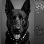 Ersteller:in Maren Profilbild