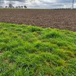 Hundeauslaufgebiet-Pflugfelden - Felder-Bild