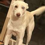 Ersteller:in Jasmin Profilbild