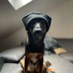 Ersteller:in Michelle Profilbild