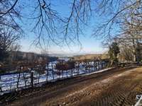 Hundeauslaufgebiet-Schlater Wald-Bild