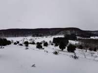 Hundeauslaufgebiet-Fränkel-Bild