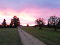 Hundeauslaufgebiet-Wiese in Süßen-Bild