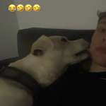 Ersteller:in Max Profilbild