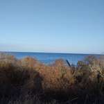 Ersteller:in Momo Profilbild