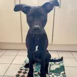 Ersteller:in Ruby Profilbild