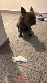 Mandelentzündung oder doch etwas anderes?-Beitrag-Bild