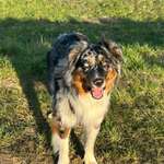 Ersteller:in Gaby Profilbild