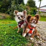 Ersteller:in Julia Profilbild