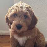 Ersteller:in Salome Profilbild