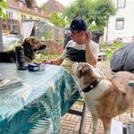 Ersteller:in Oskar Profilbild