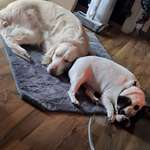 Ersteller:in Jo Profilbild